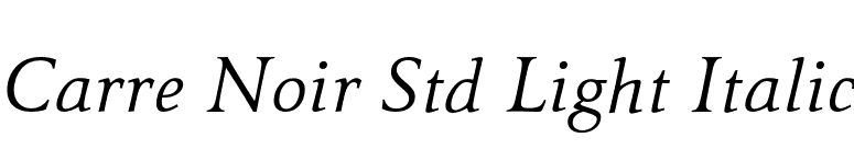 Carre Noir Std Light Italic font preview