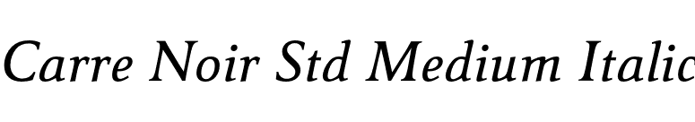Carre Noir Std Medium Italic font preview