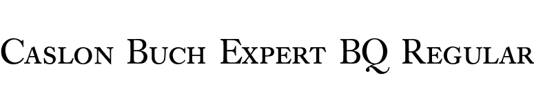 Caslon Buch Expert BQ Regular font preview