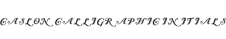Caslon Calligraphic Initials font preview