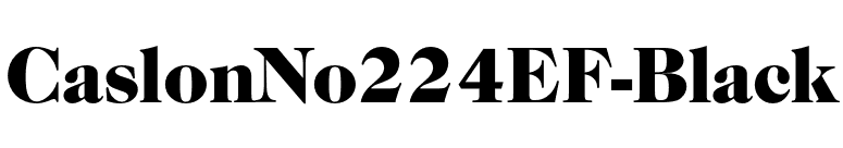 CaslonNo224EF-Black font preview