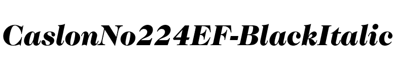 CaslonNo224EF-BlackItalic font preview