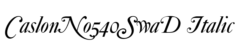 CaslonNo540SwaD Italic font preview