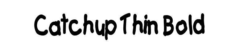 Catchup Thin Bold font preview