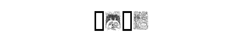 Cats font preview