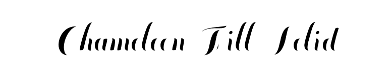 Chameleon Fill Solid font preview