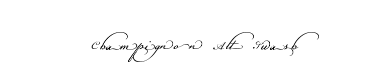 Champignon Alt Swash font preview