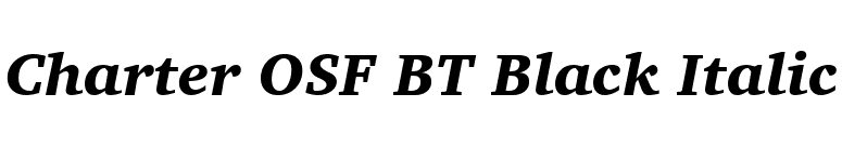 Charter OSF BT Black Italic font preview