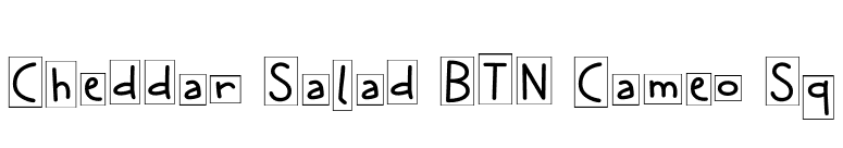 Cheddar Salad BTN Cameo Sq font preview