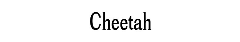 Cheetah font preview