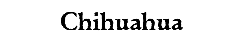 Chihuahua font preview