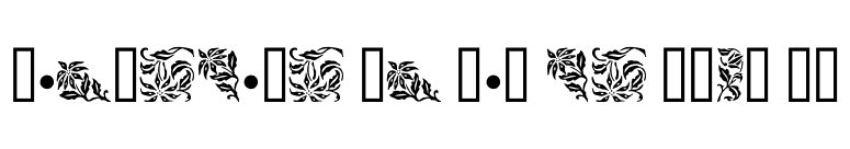 Christmas Ornaments Five MT font preview