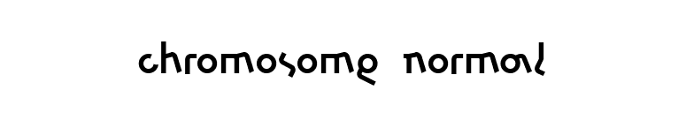 chromosome Normal font preview