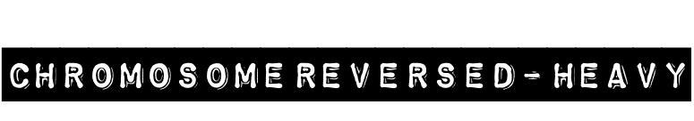 ChromosomeReversed-Heavy font preview