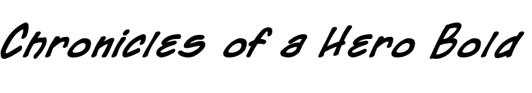 Chronicles of a Hero Bold font preview