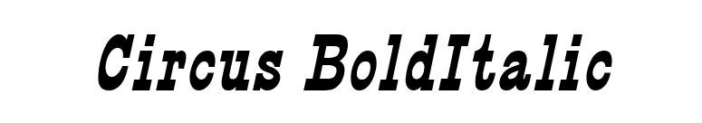 Circus BoldItalic font preview