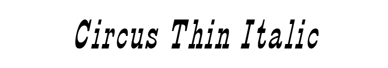 Circus Thin Italic font preview