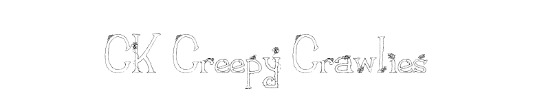 CK Creepy Crawlies font preview