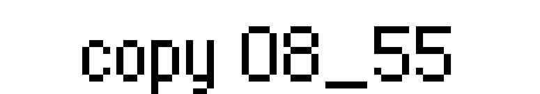 copy 08_55 font preview