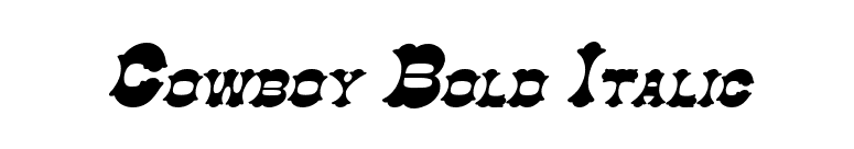Cowboy Bold Italic font preview