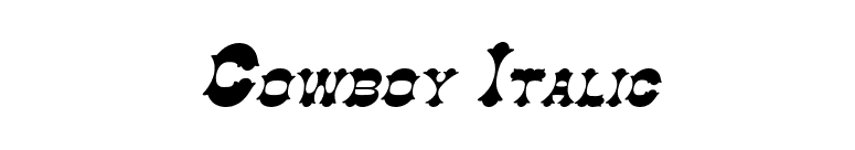 Cowboy Italic font preview