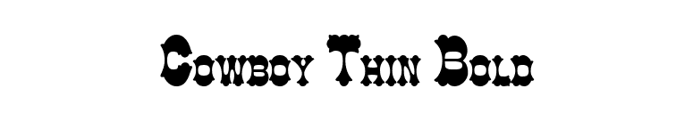Cowboy Thin Bold font preview