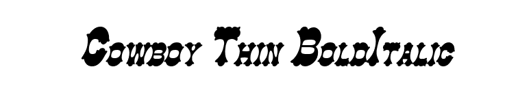 Cowboy Thin BoldItalic font preview