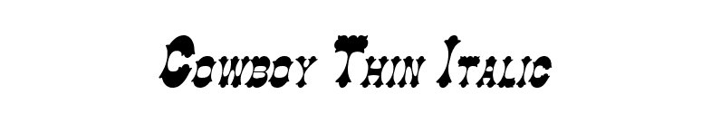 Cowboy Thin Italic font preview