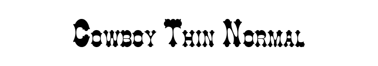 Cowboy Thin Normal font preview