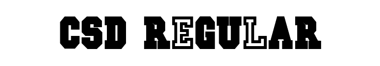 CSD Regular font preview