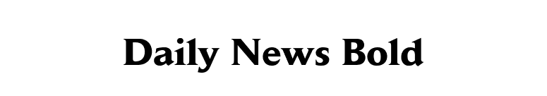 Daily News Bold font preview