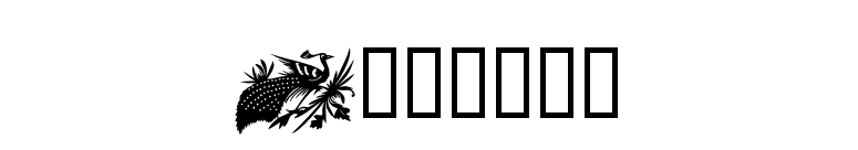Design1 font preview