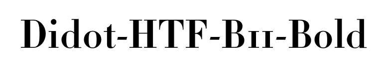 Didot-HTF-B11-Bold font preview