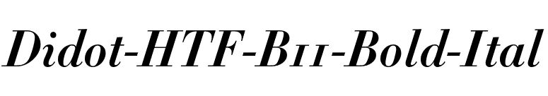 Didot-HTF-B11-Bold-Ital font preview