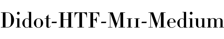 Didot-HTF-M11-Medium font preview
