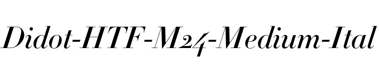 Didot-HTF-M24-Medium-Ital font preview