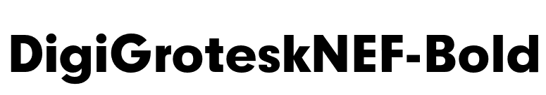 DigiGroteskNEF-Bold font preview