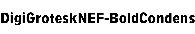 DigiGroteskNEF-BoldCondens font preview