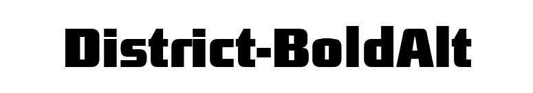 District-BoldAlt font preview