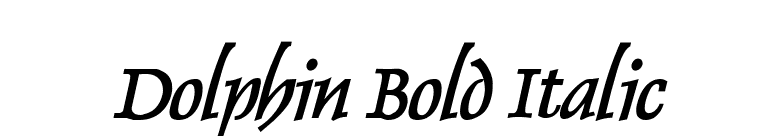 Dolphin Bold Italic font preview