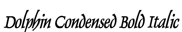 Dolphin Condensed Bold Italic font preview