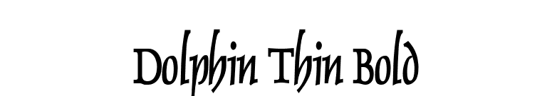 Dolphin Thin Bold font preview