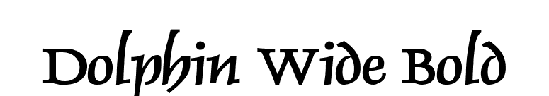 Dolphin Wide Bold font preview