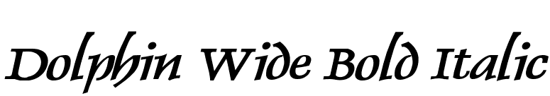 Dolphin Wide Bold Italic font preview