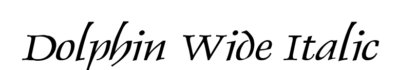 Dolphin Wide Italic font preview