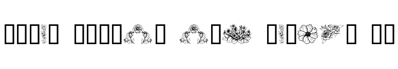 Dover Floral and Design II font preview