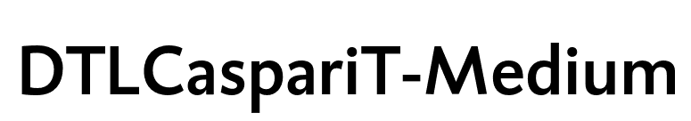 DTLCaspariT-Medium font preview