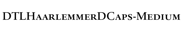 DTLHaarlemmerDCaps-Medium font preview