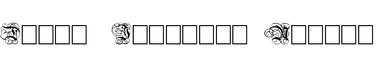 Dutch Initials Normal font preview