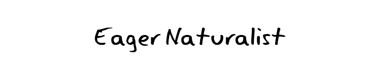 Eager Naturalist font preview